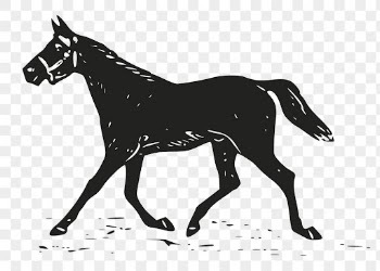 Trotting horse png, animal clipart, | Free PNG Illustration - rawpixel