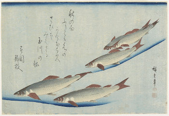 TroutOriginal from the Minneapolis Institute | Free Photo - rawpixel