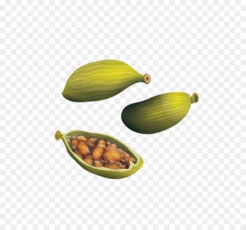 True cardamom Spice - Spice cardamom vector material 