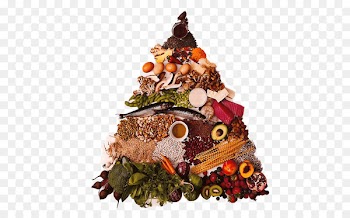 True Food Anti-inflammatory Inflammation Food pyramid - Food Pyramid 
