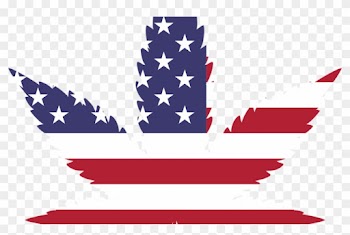 Trump Administration Reigniting War On Cannabis - Usa Weed Leaf Png
