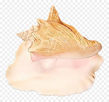 Trumpet, Conch, Jaw, Shankha PNG