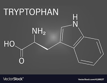 tryptophan amino acid molecule skeletal formula