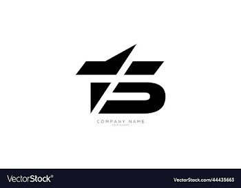 ts-branding-logo-letter-design