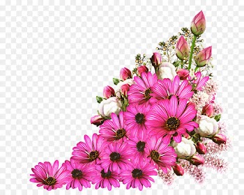 Tshirt, Floral Design, Birthday, Flower, Pink PNG