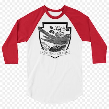 Tshirt, Raglan Sleeve, Shirt, White PNG