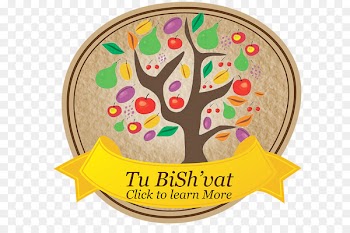 Tu B'Shevat Judaism Tu BiShvat seder Jewish holiday - judaism 