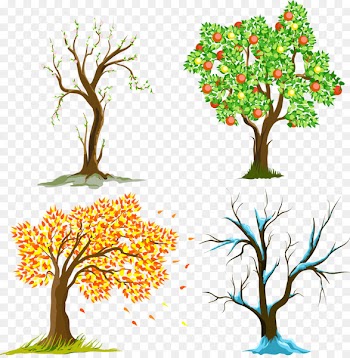Tu B'Shevat Tree of life Hebrew calendar - seasons 