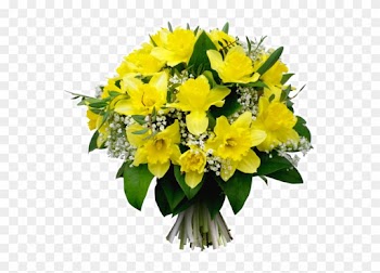 Tube Bouquet De Jonquilles - Bouquet Jonquille Et Rose Blanche