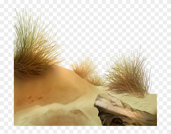 Tube Png Sable, Transparent Png - 703x581(#1018101) - PngFind