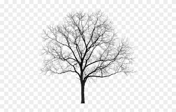 Tubes Arbres / Arbustes / Feuillages - Winter Tree Silhouette Png