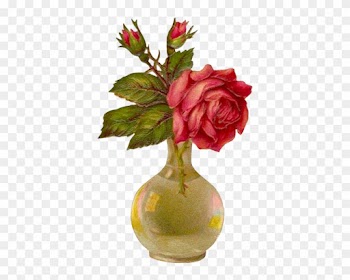 Tubes Fleurs - Garden Roses