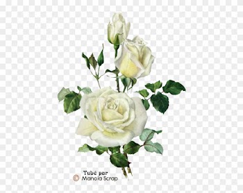 Tubes Fleurs Page - Vintage Rose Print