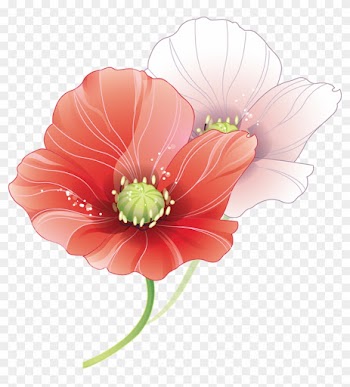 Tubes Fleurs - Wedding Vector
