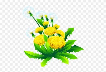 Tubes Nature - Album Design Flower Png