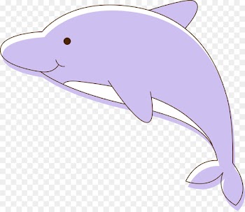 Tucuxi Common bottlenose dolphin Porpoise - Vector Dolphins 
