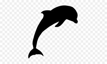 Tucuxi Common bottlenose dolphin Sea lion Clip art -  