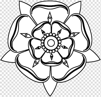 Tudor rose White Rose of York Drawing , Black And White Rose Drawings transparent background PNG clipart