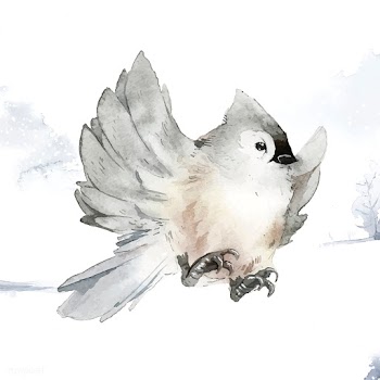 Tufted titmouse bird in wintertime watercolor.. | Free stock vector - 489266