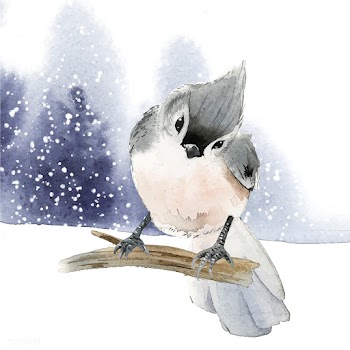 Tufted titmouse bird in wintertime watercolor.. | Free stock vector - 489417