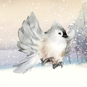 Tufted titmouse bird in wintertime watercolor.. | Free stock vector - 489426