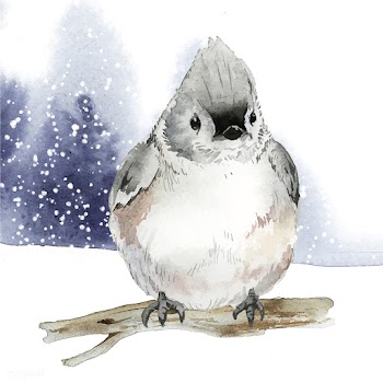 Tufted titmouse bird in wintertime watercolor.. | Free stock vector - 489461