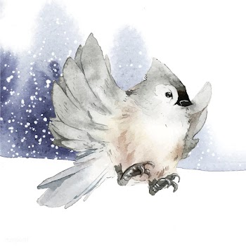 Tufted titmouse bird in wintertime watercolor.. | Free stock vector - 489500