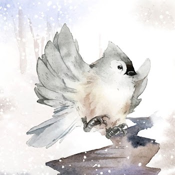 Tufted titmouse bird in wintertime watercolor.. | Free stock vector - 489501