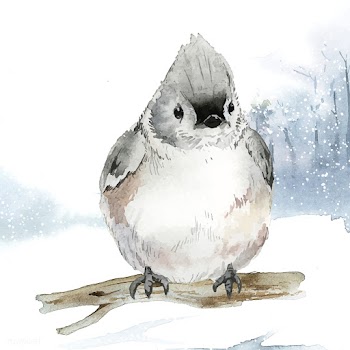 Tufted titmouse bird in wintertime watercolor.. | Free stock vector - 489506