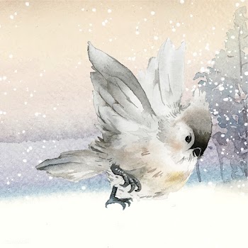 Tufted titmouse bird in wintertime watercolor.. | Free stock vector - 489540