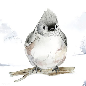 Tufted titmouse bird in wintertime watercolor.. | Free stock vector - 489543