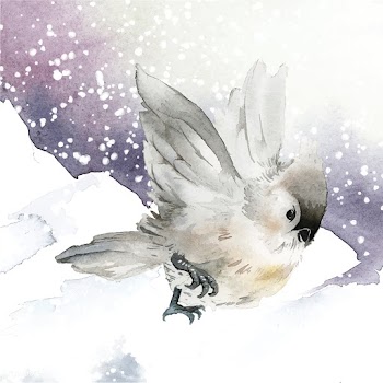 Tufted titmouse bird in wintertime watercolor.. | Free stock vector - 489547