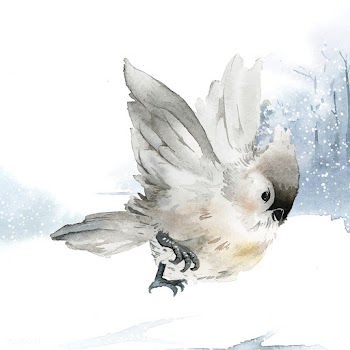 Tufted titmouse bird in wintertime watercolor.. | Free stock vector - 489554