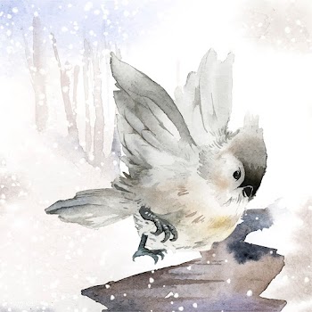 Tufted titmouse bird in wintertime watercolor.. | Free stock vector - 489591