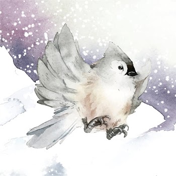 Tufted titmouse bird in wintertime watercolor.. | Free stock vector - 489594