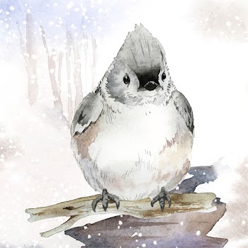 Tufted titmouse bird in wintertime watercolor.. | Free stock vector - 489629