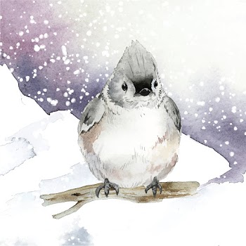 Tufted titmouse bird in wintertime watercolor.. | Free stock vector - 489636
