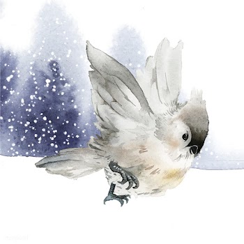 Tufted titmouse bird in wintertime watercolor.. | Free stock vector - 489642
