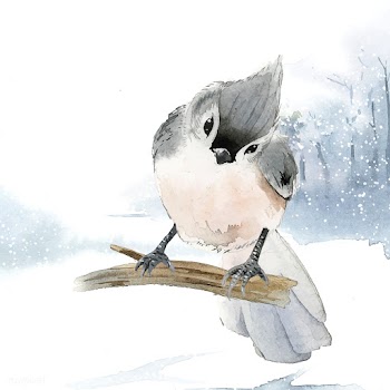 Tufted titmouse bird in wintertime watercolor.. | Free stock vector - 489650