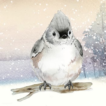 Tufted titmouse bird in wintertime watercolor.. | Free stock vector - 489668