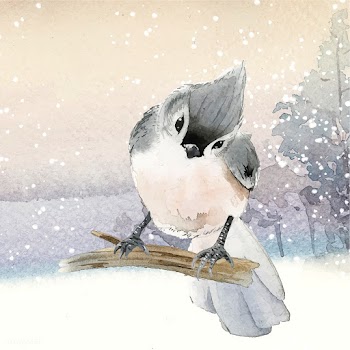 Tufted titmouse bird in wintertime watercolor.. | Free stock vector - 489684