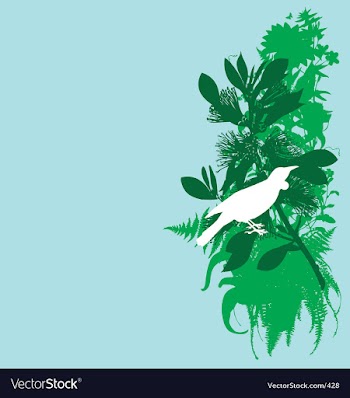 Tui and pohutukawa vector image