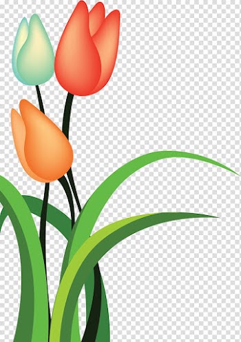 Tulip Cartoon Flower, tulip transparent background PNG clipart