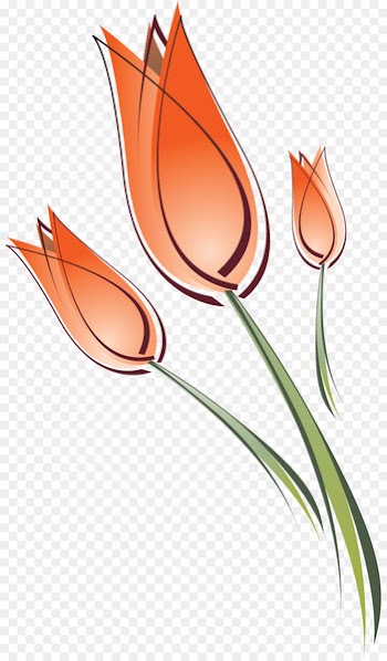 Tulip Clip art Drawing Flower Portable Network Graphics - tulip 