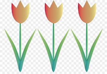 tulip clip art flower plant grass