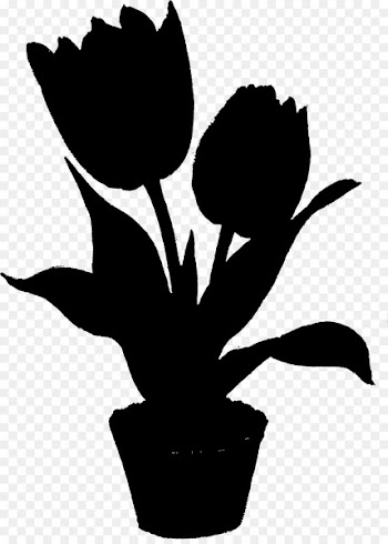 Tulip Clip art Plant stem Herbaceous plant Leaf -  