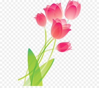 Tulip Drawing Flower Clip art - Abstract Tulips 