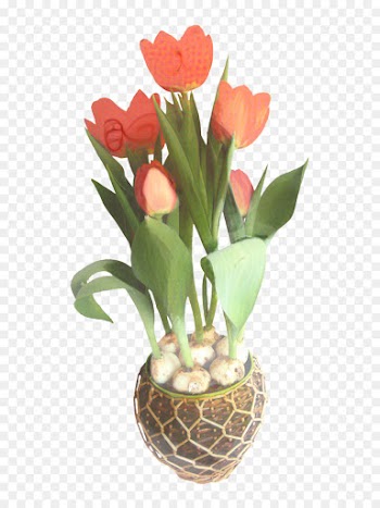 Tulip, Floral Design, Flower Bouquet, Flower, Flowerpot PNG