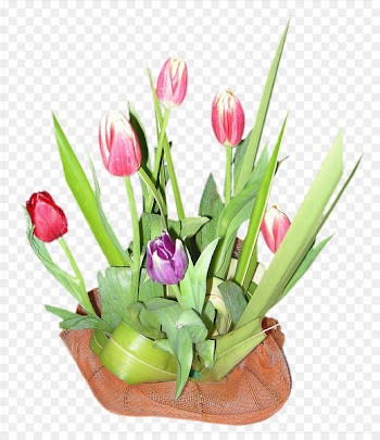 Tulip Flower bouquet - A bouquet of beautiful flowers 