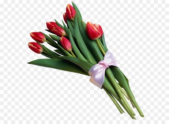 Tulip Flower bouquet Clip art - Bouquet of Red Tulips Transparent PNG Picture 